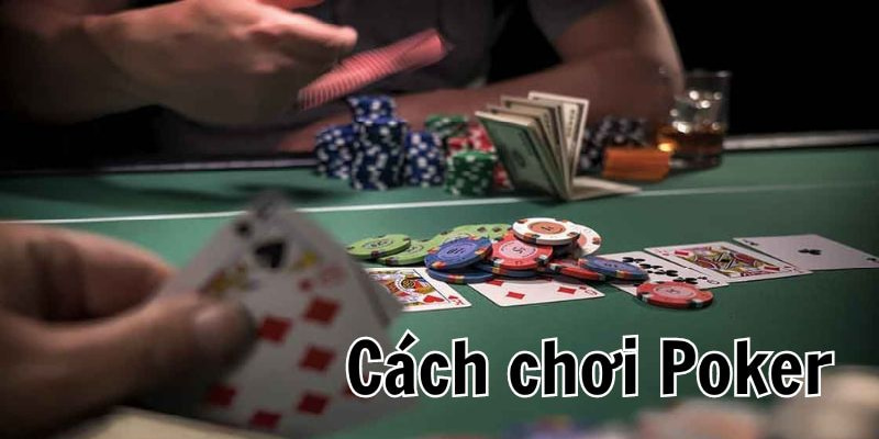 Quyền cơ bản của hội viên khi đánh Poker